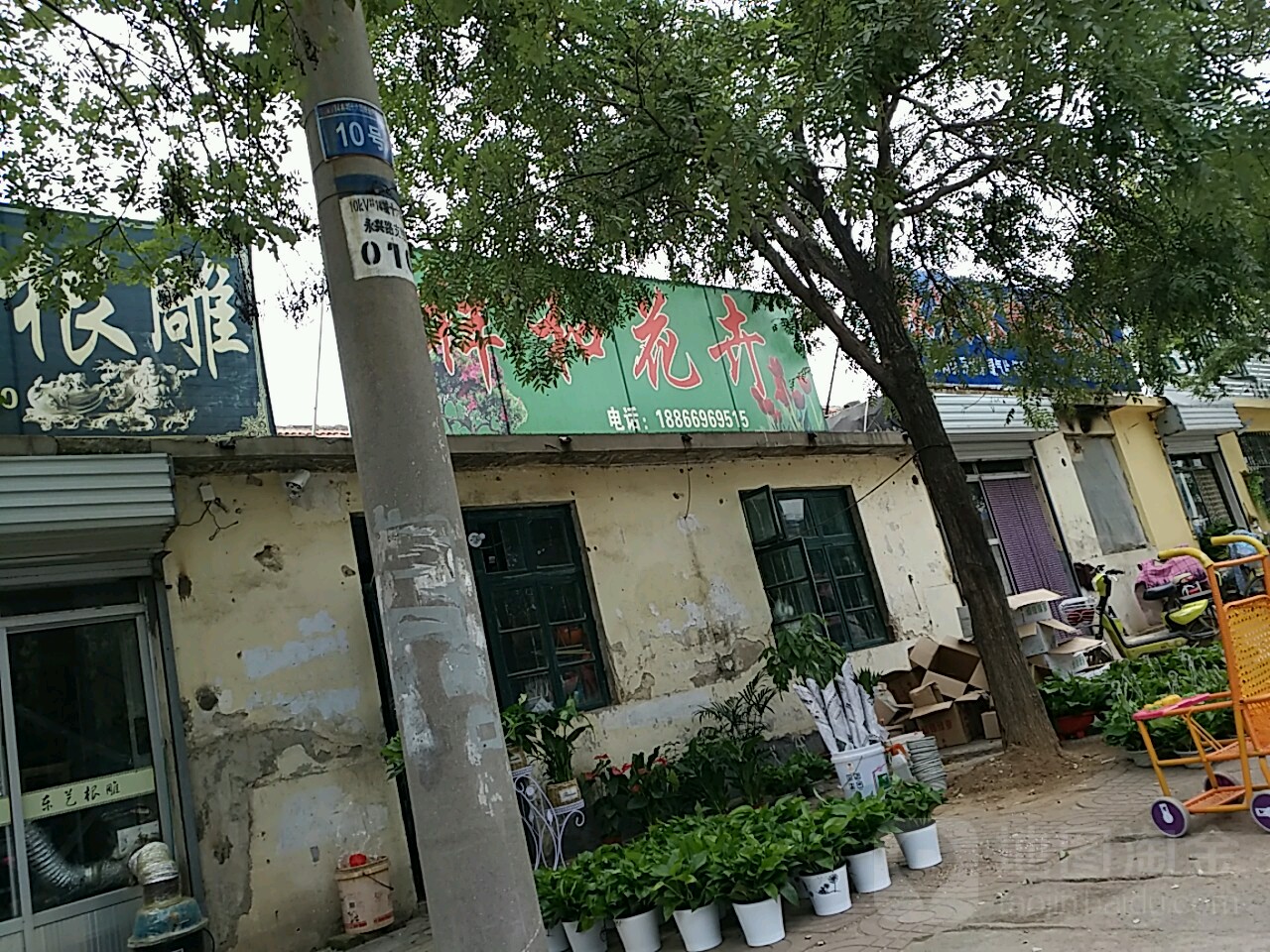 祥和花卉