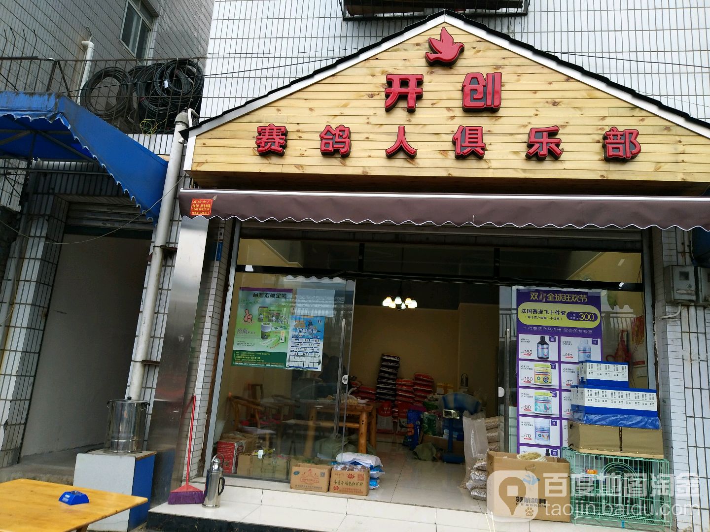 开创赛鸽人俱乐部