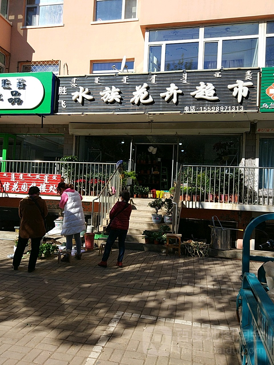 胜飞水族花卉超市