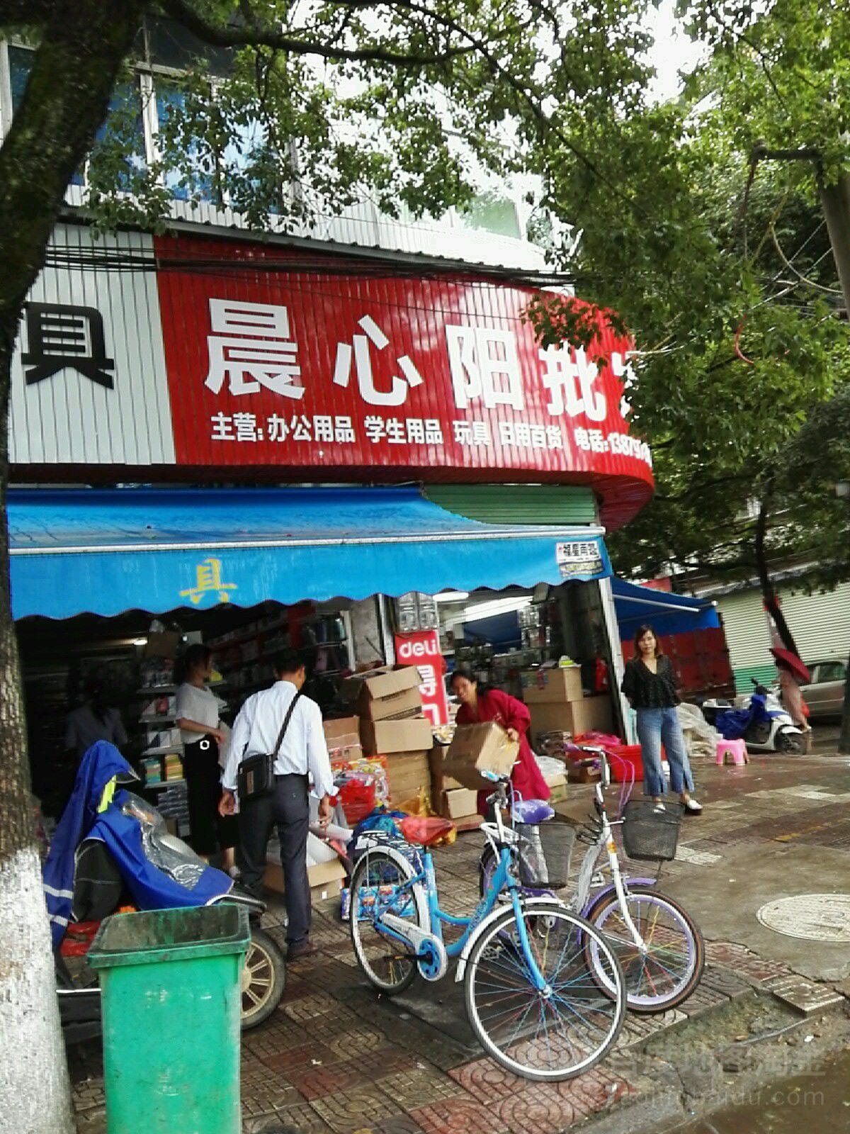 晨心阳批发