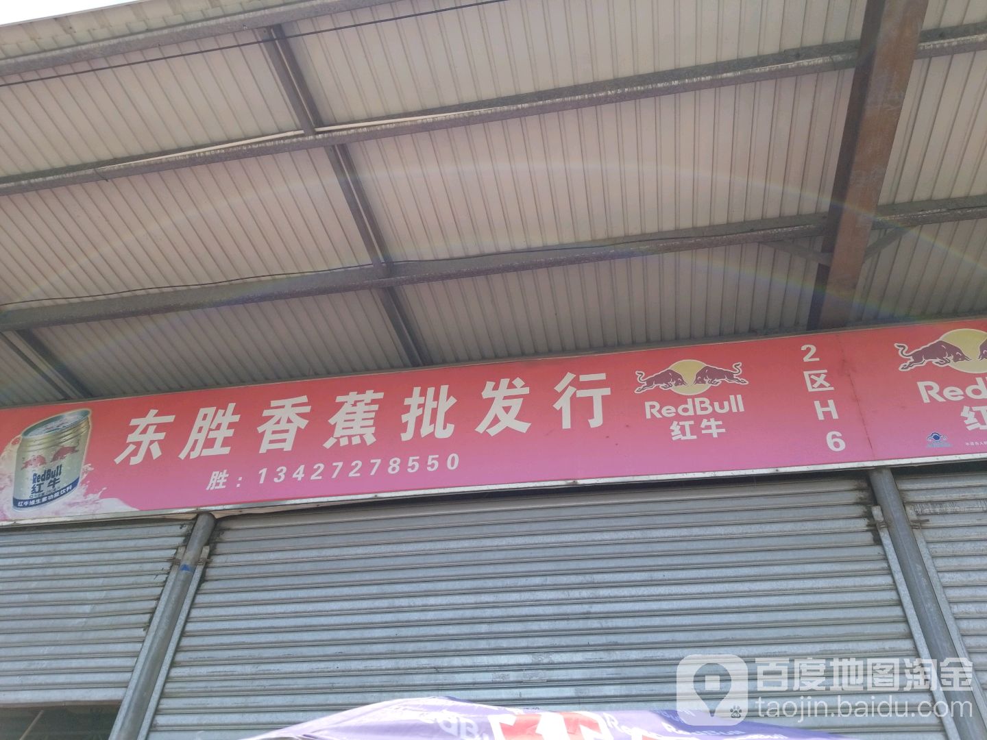 东胜香蕉批发行