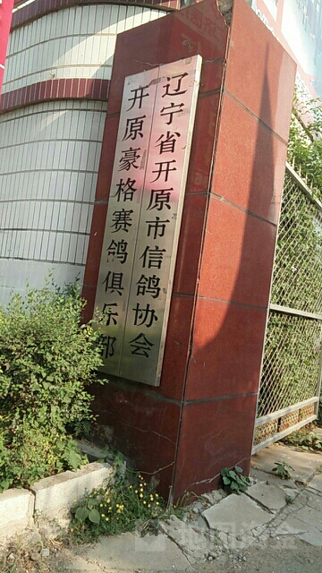 辽宁省开原市信鸽协会