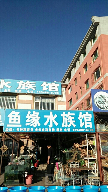刘街一区鱼缘水族