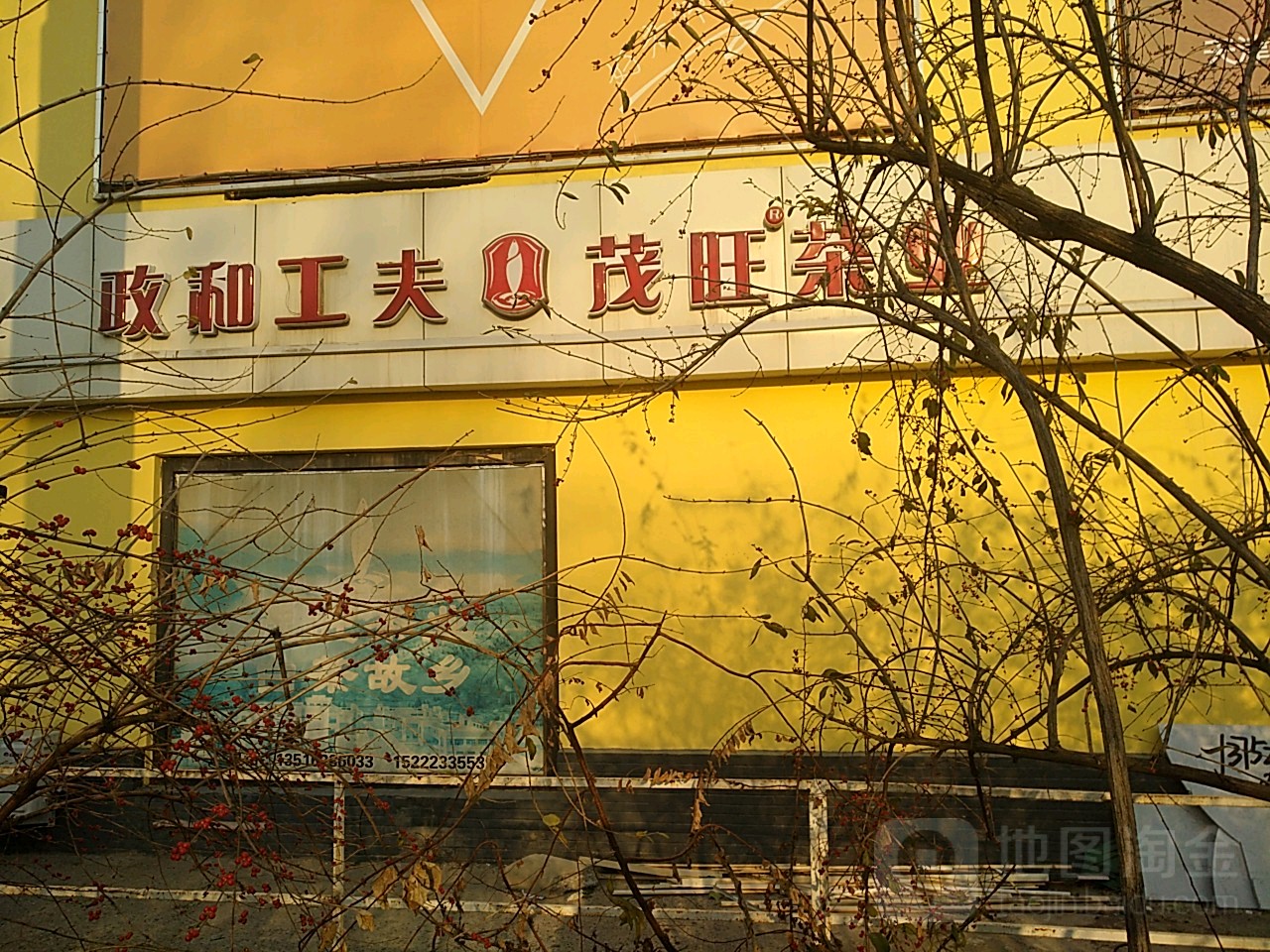 茂旺茶业