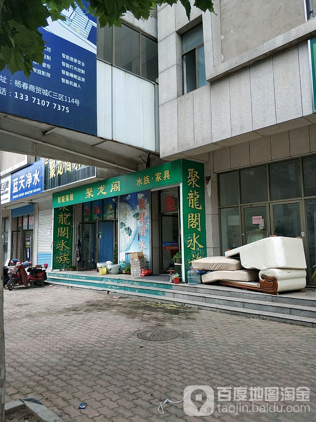 诸城市巨龙阁水族总店(杨春店)
