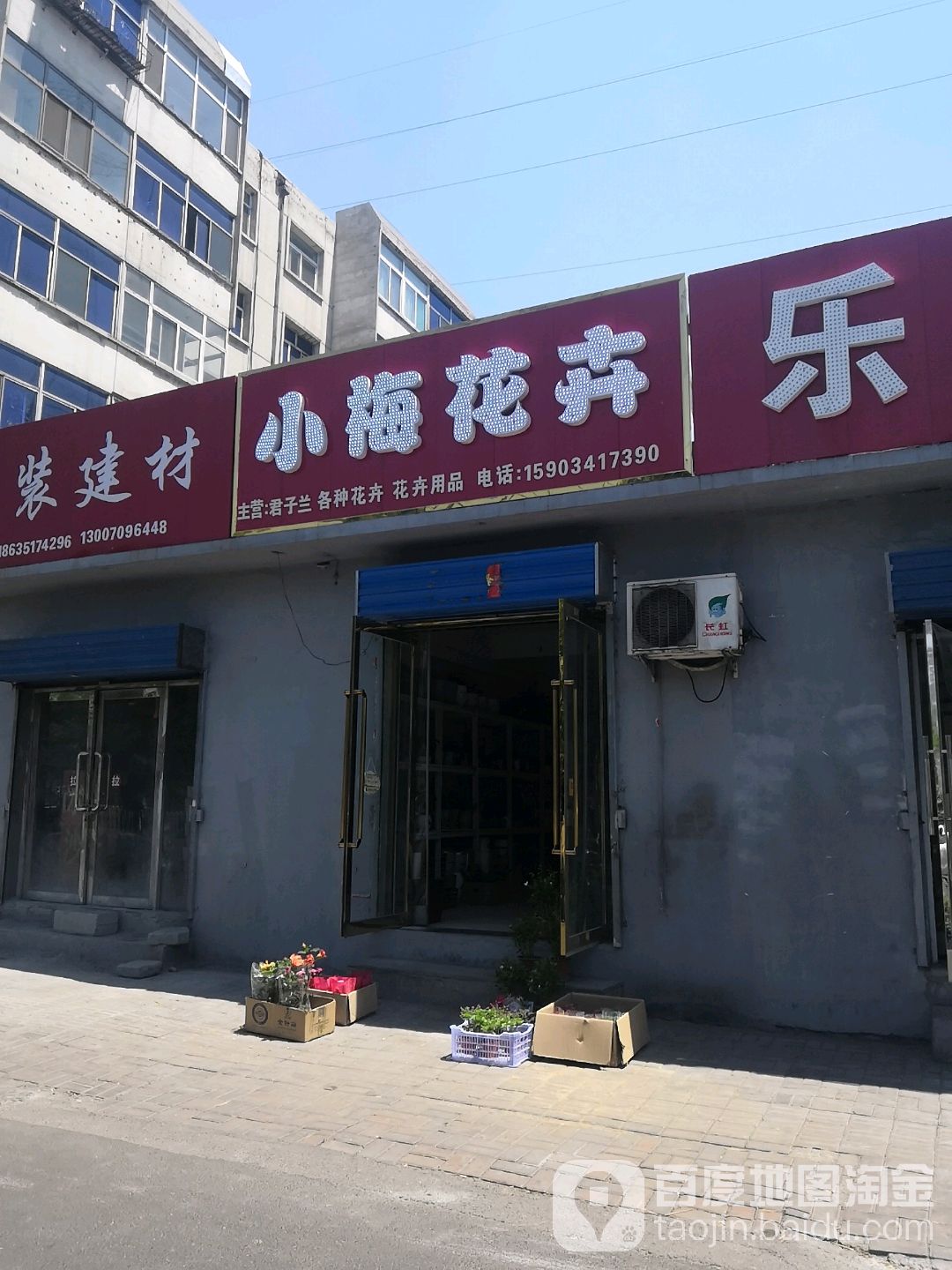 小梅花卉