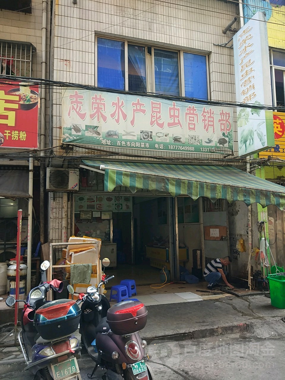志荣睡产(昆虫营销部)