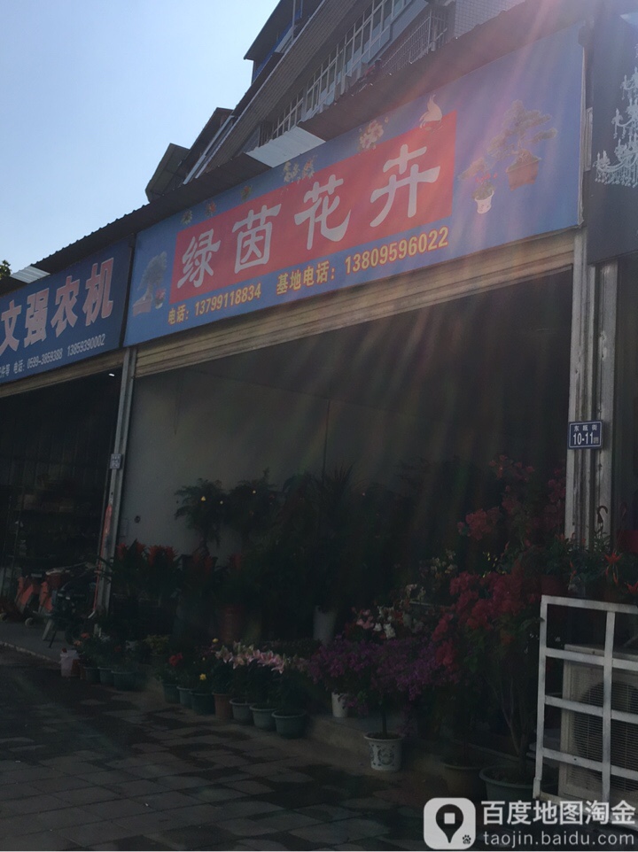 绿茵花卉