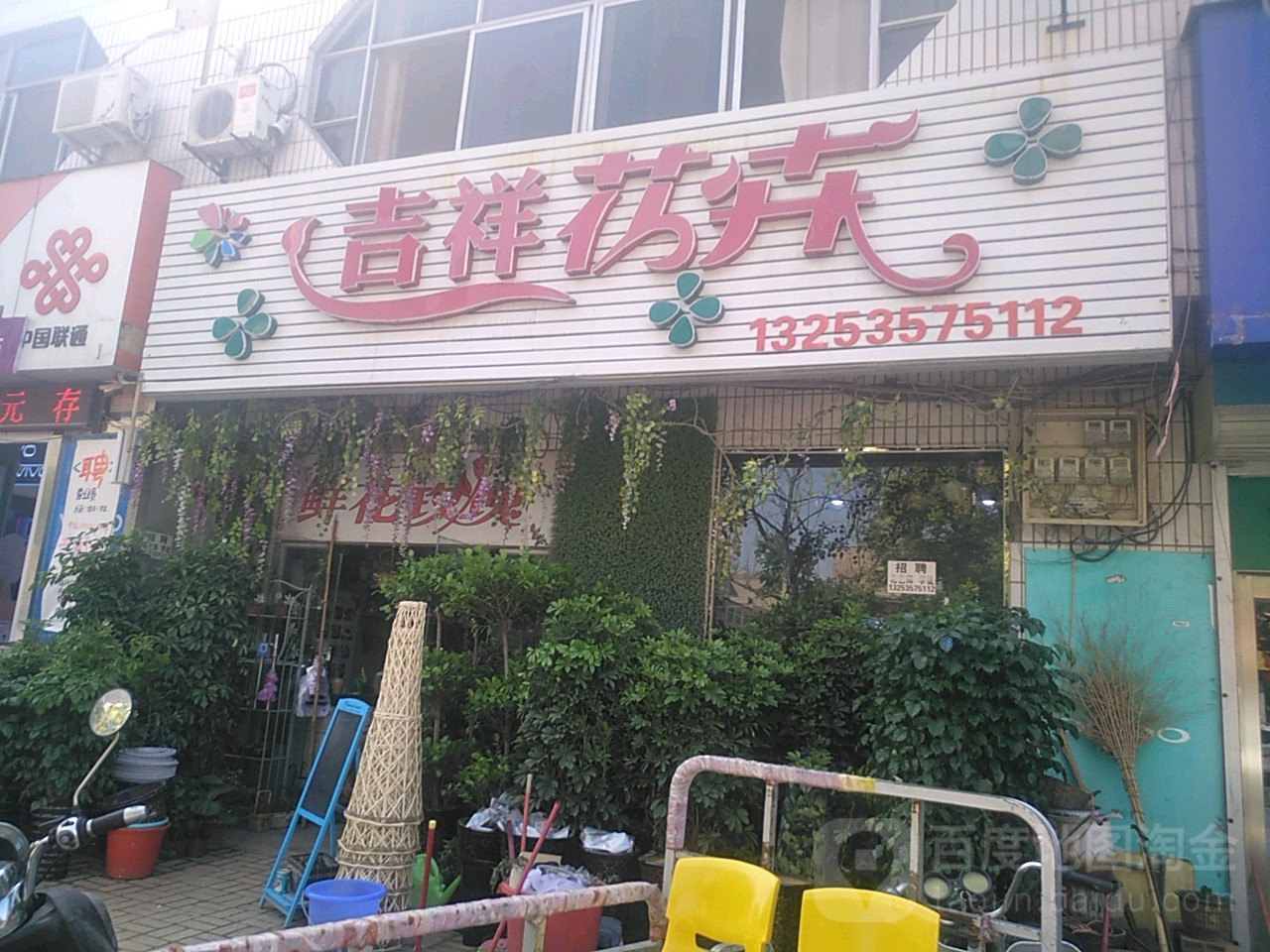 吉祥花卉(龙湖店)