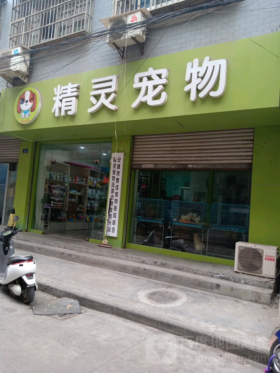 精灵宠物(教场南路店)