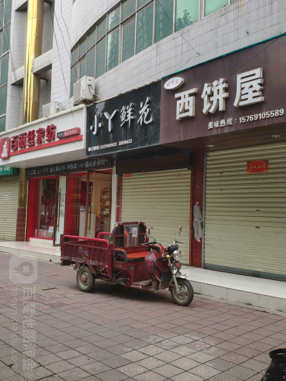 小丫鲜花