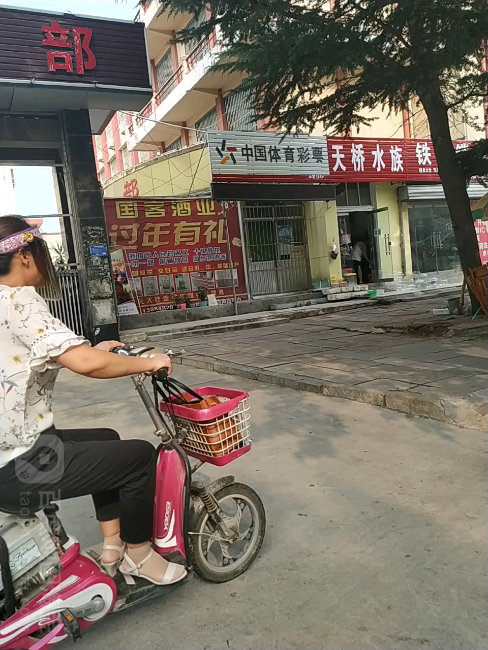 迁乔水族