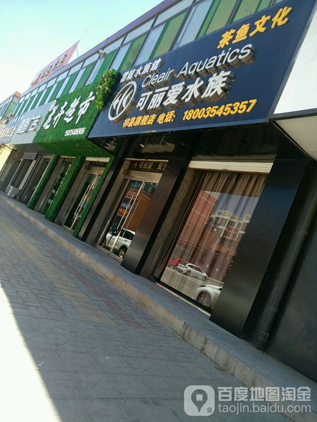 可丽爱水族(祁县旗舰店)