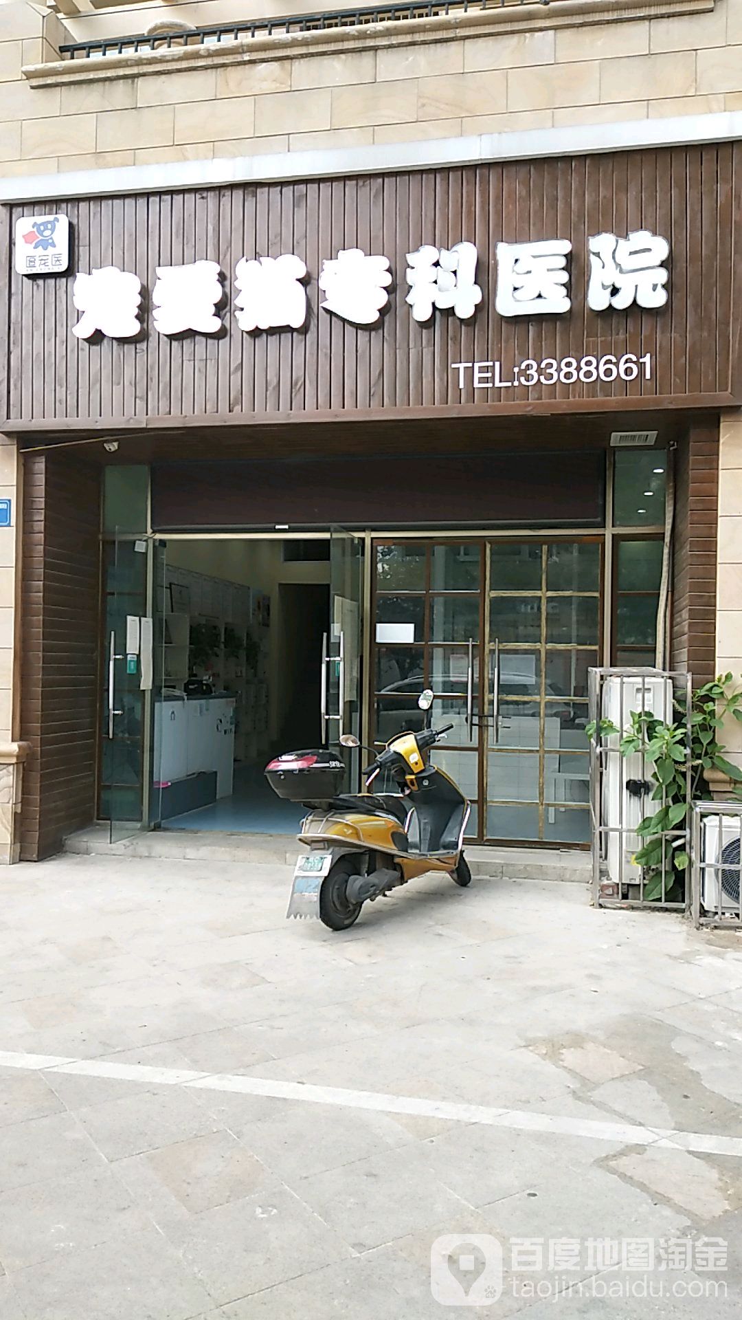 宠爱猫专科医院