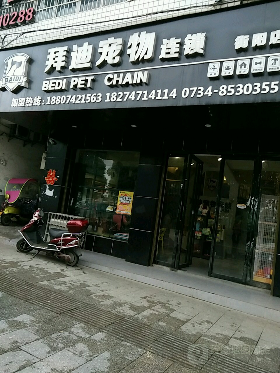 拜迪宠物连锁(衡阳店)