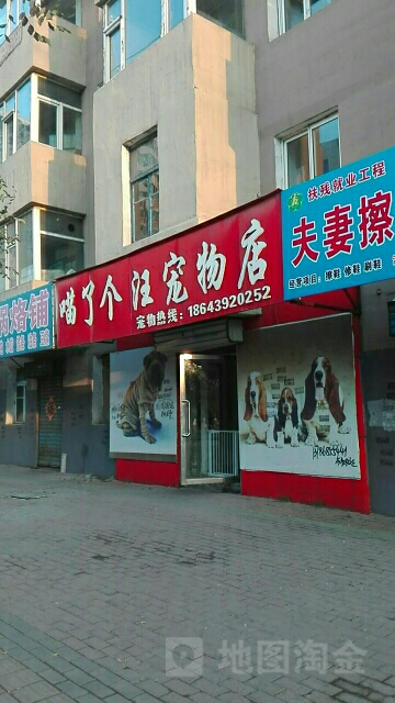 喵了个王宠物店店