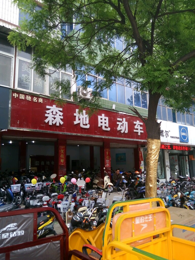 上蔡县森地电动车(上蔡旗舰店)