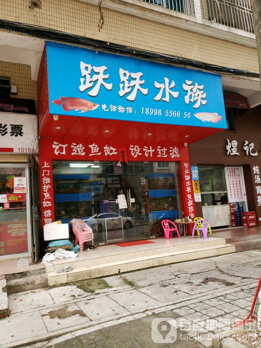 跃跃水族