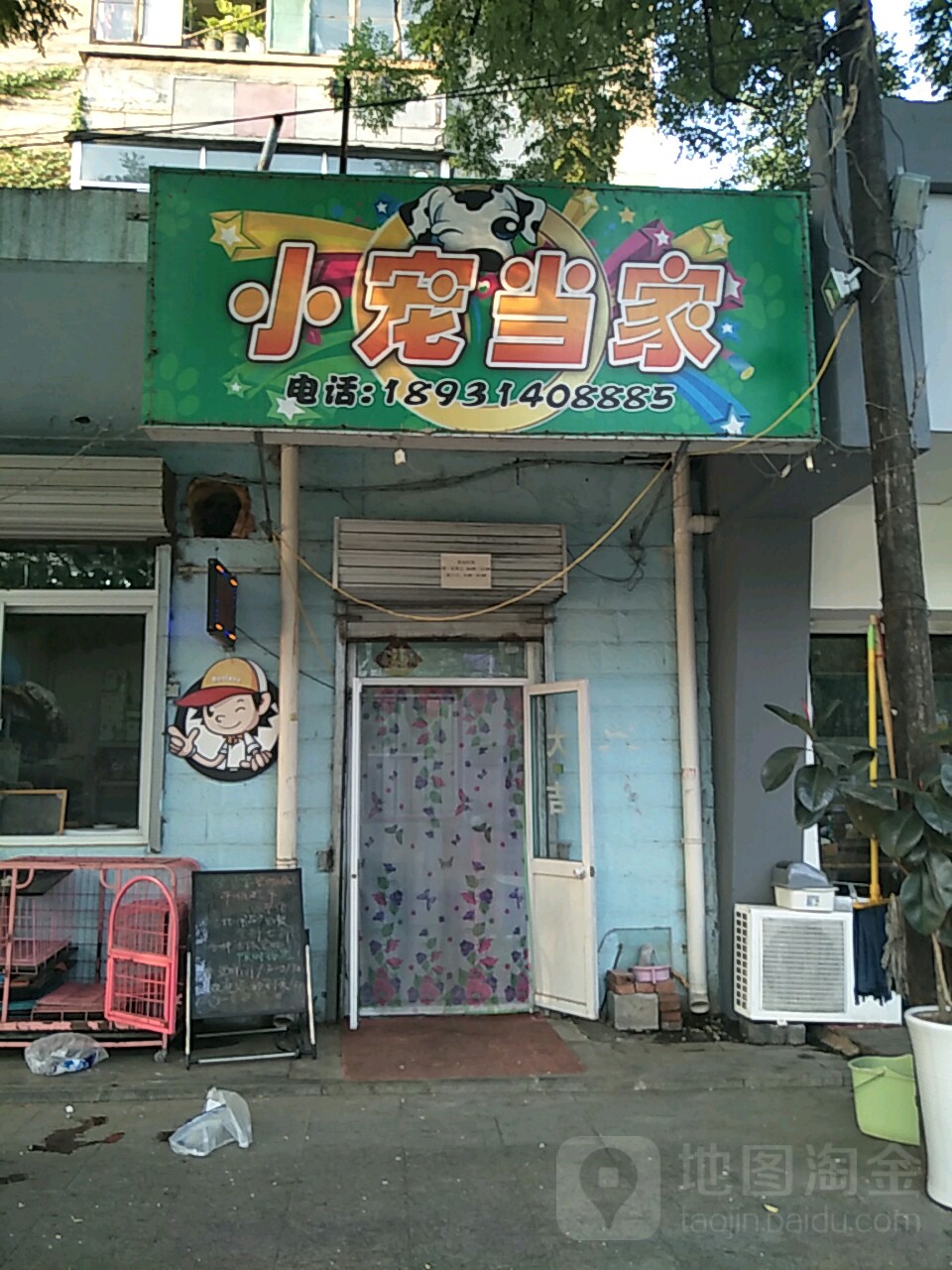 小宠当家宠物店(东兴路店)