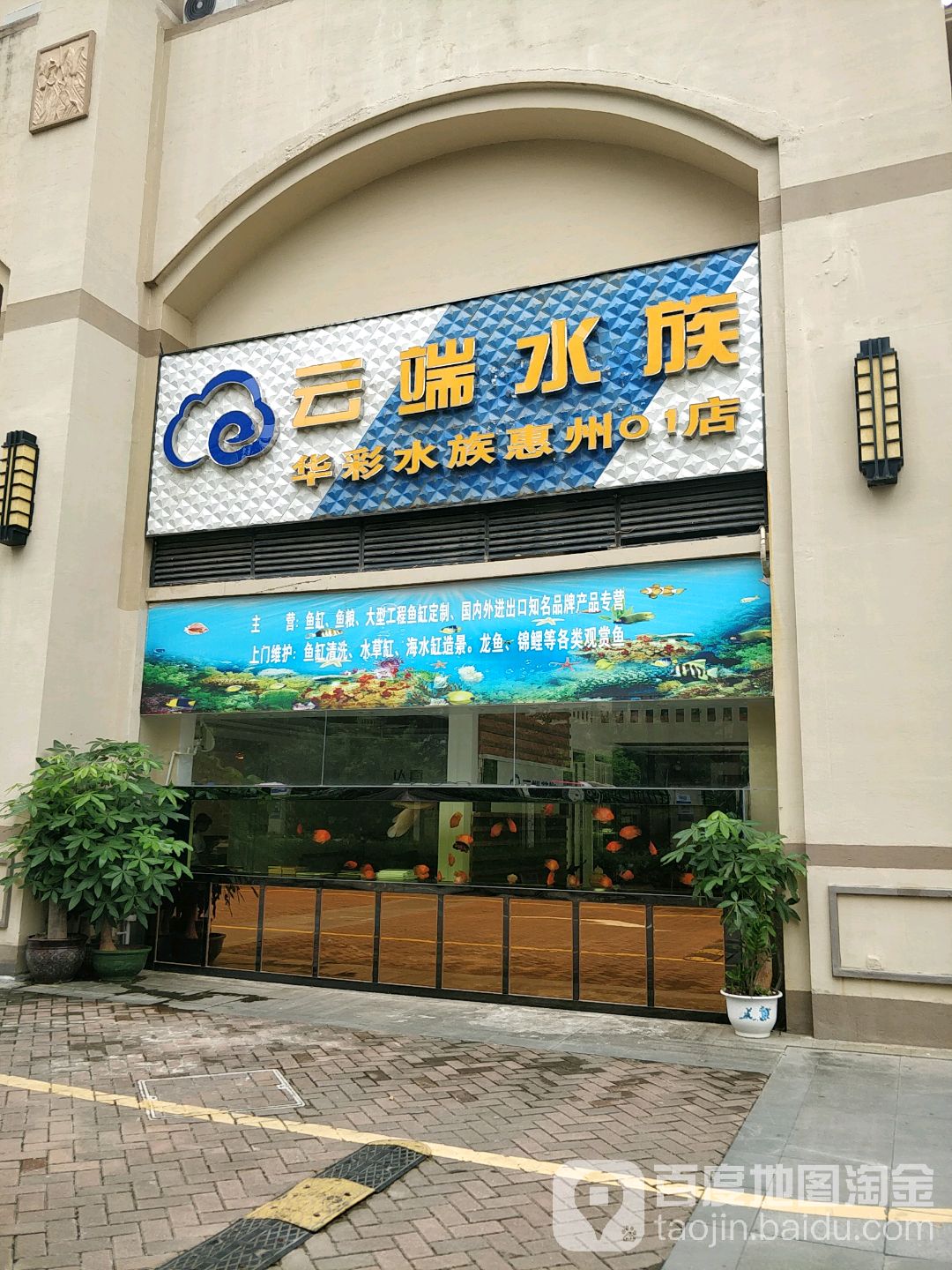云端整装(华彩水族惠州01店)