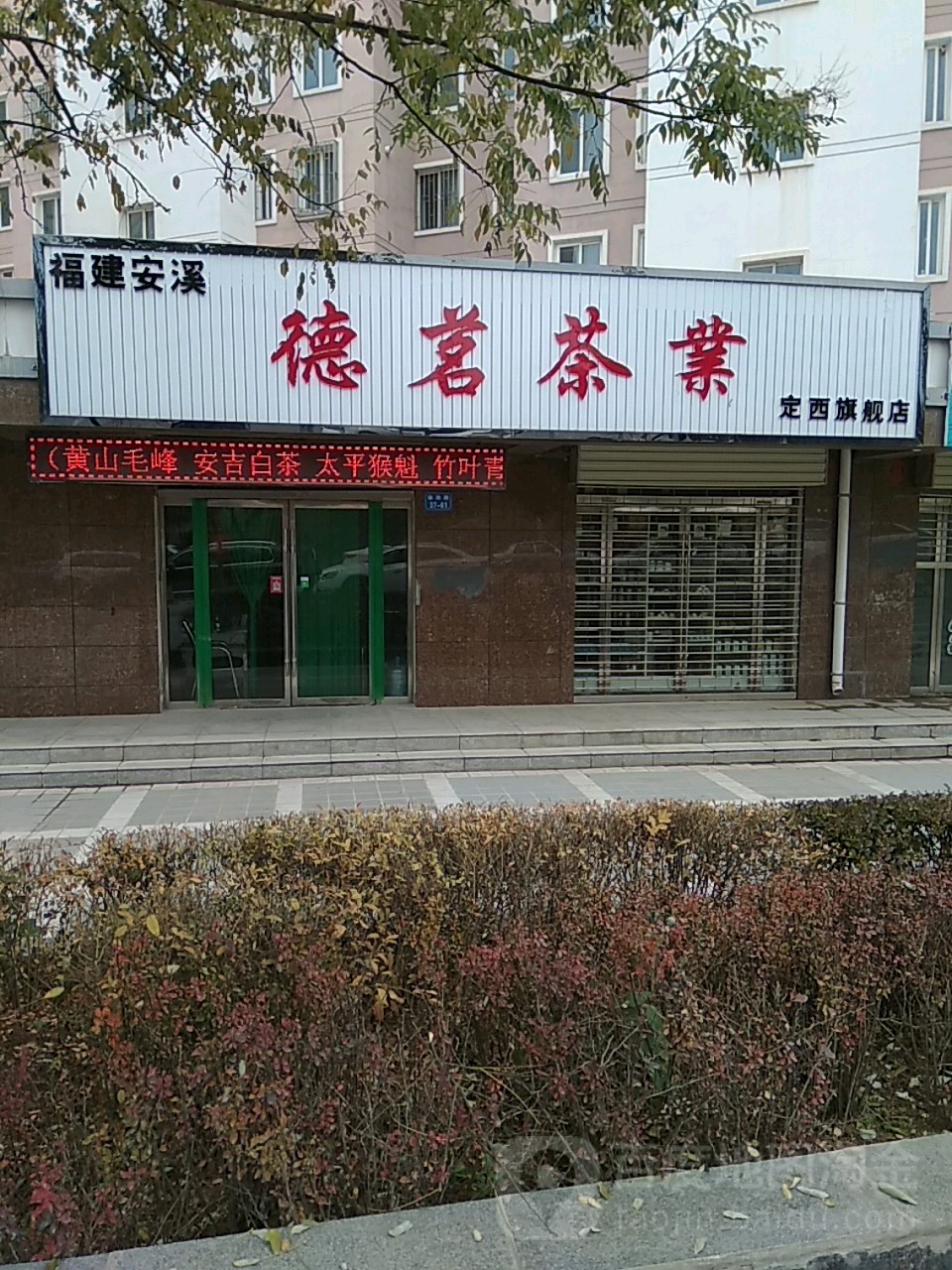 德茗茶业(定西旗舰店)