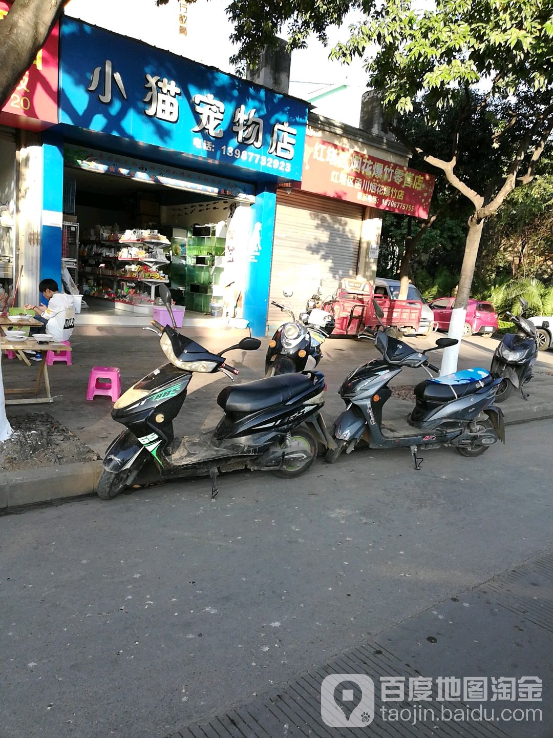 小猫宠物店
