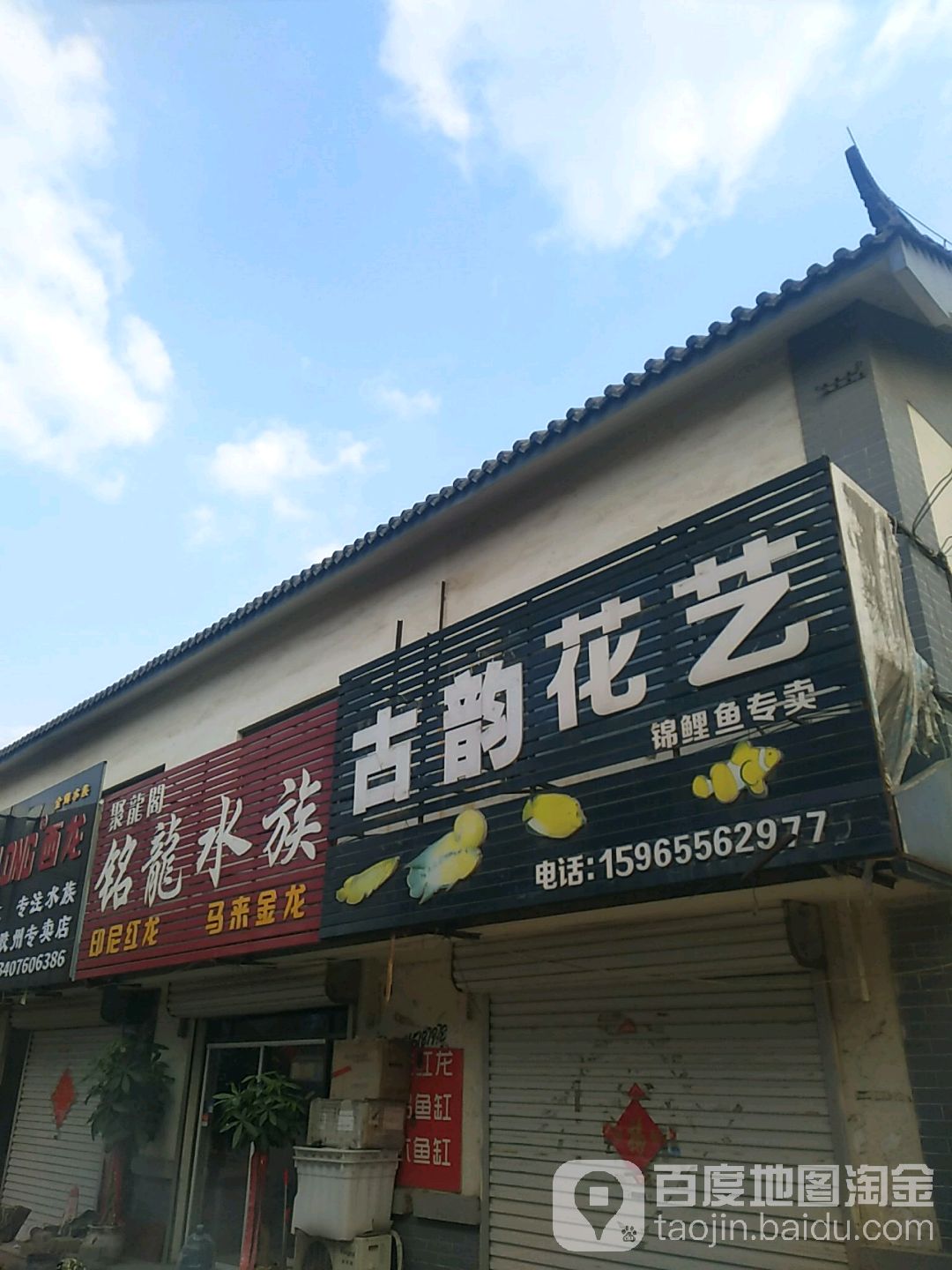 聚龙阁铭龙水族