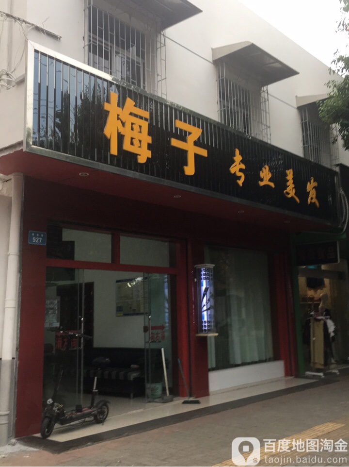 梅子专业没发(兰苑巷)