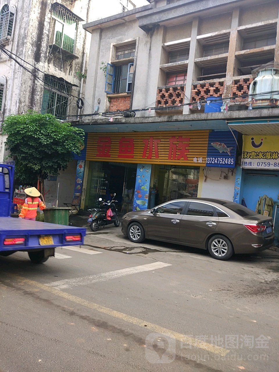 金鱼水族