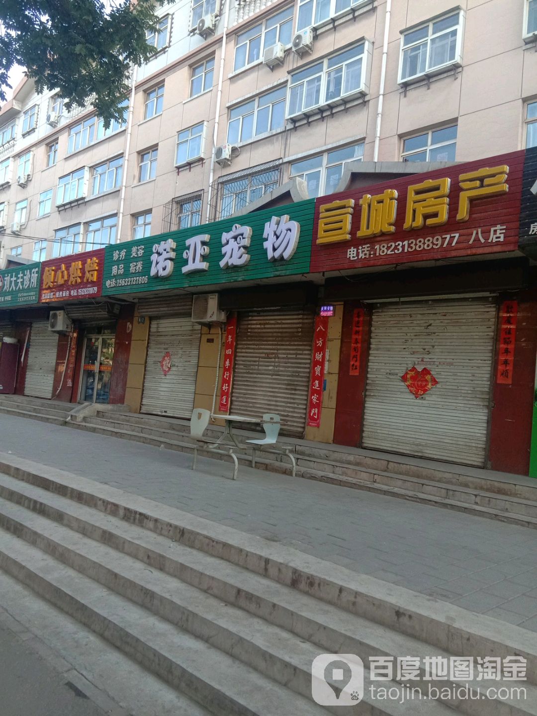 诺亚宠物店(府城南大街店)