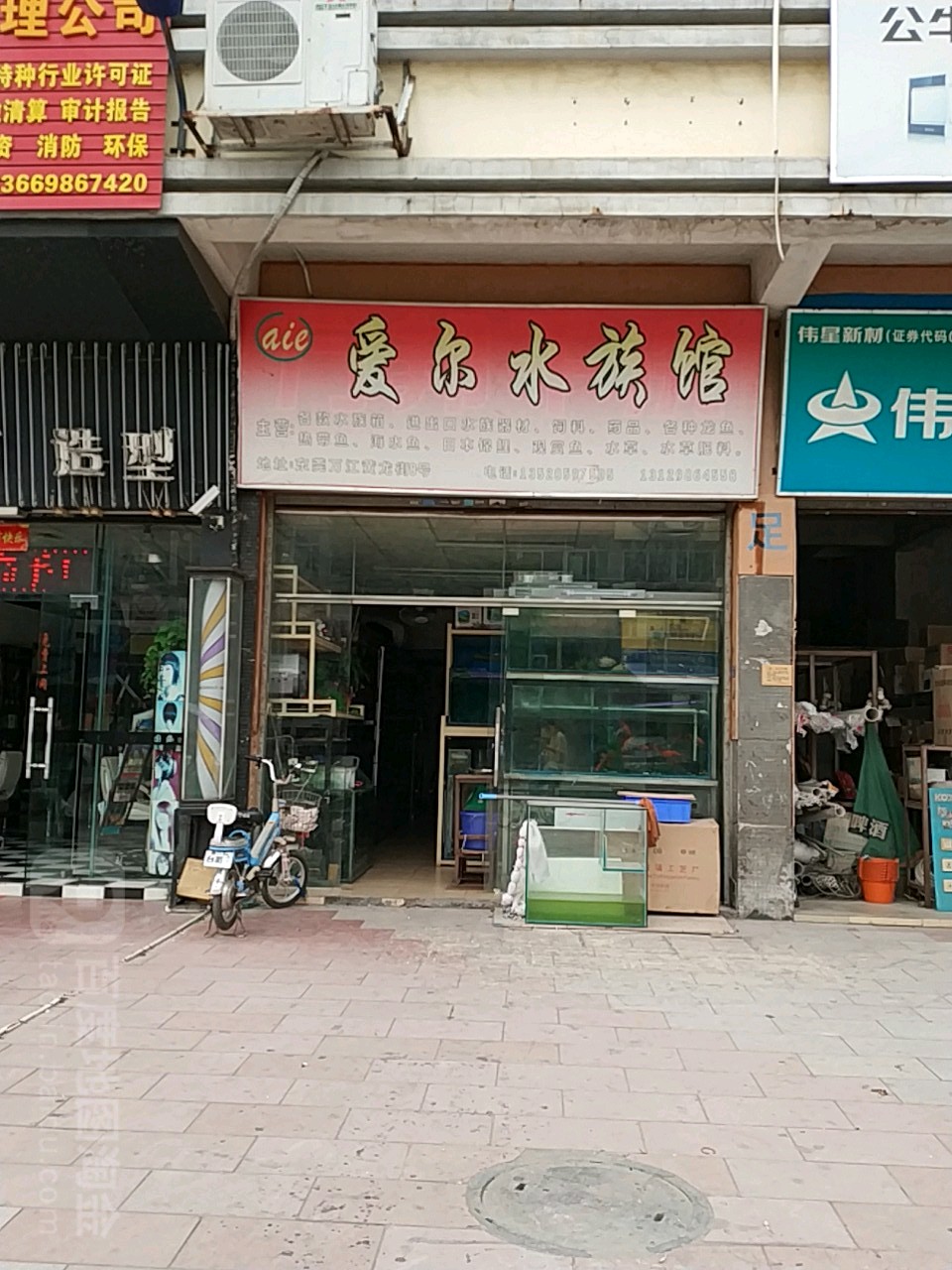 爱尔水族馆(第二分店)
