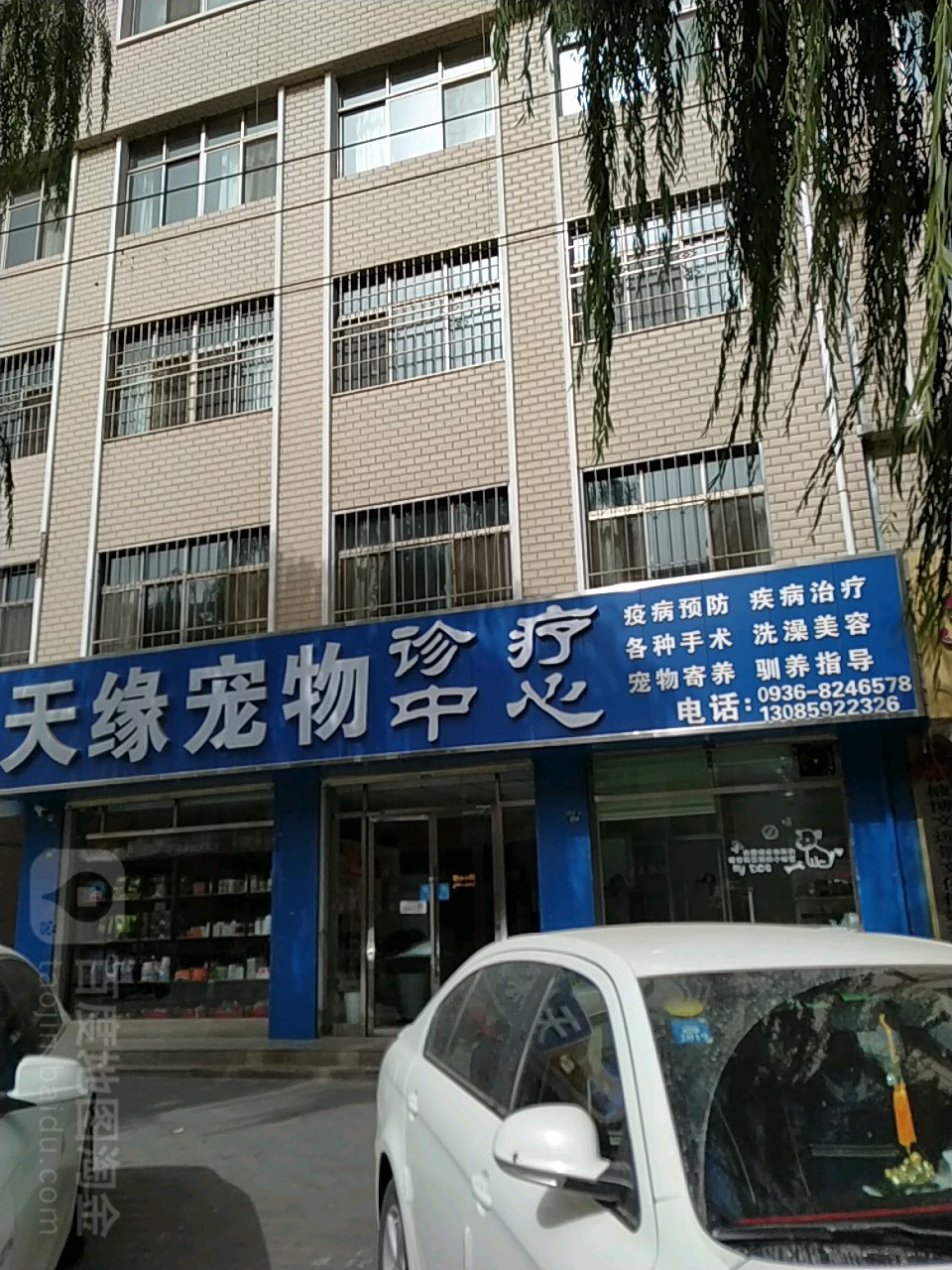 天缘宠物诊疗中心(玉关路店)