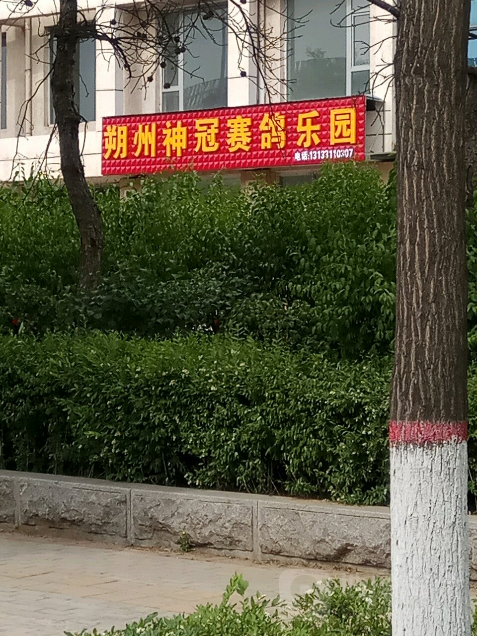 朔州神冠赛鸽乐园