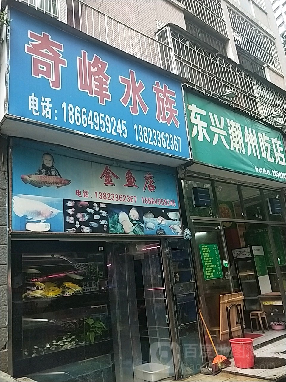 奇峰水族(中怡路店)