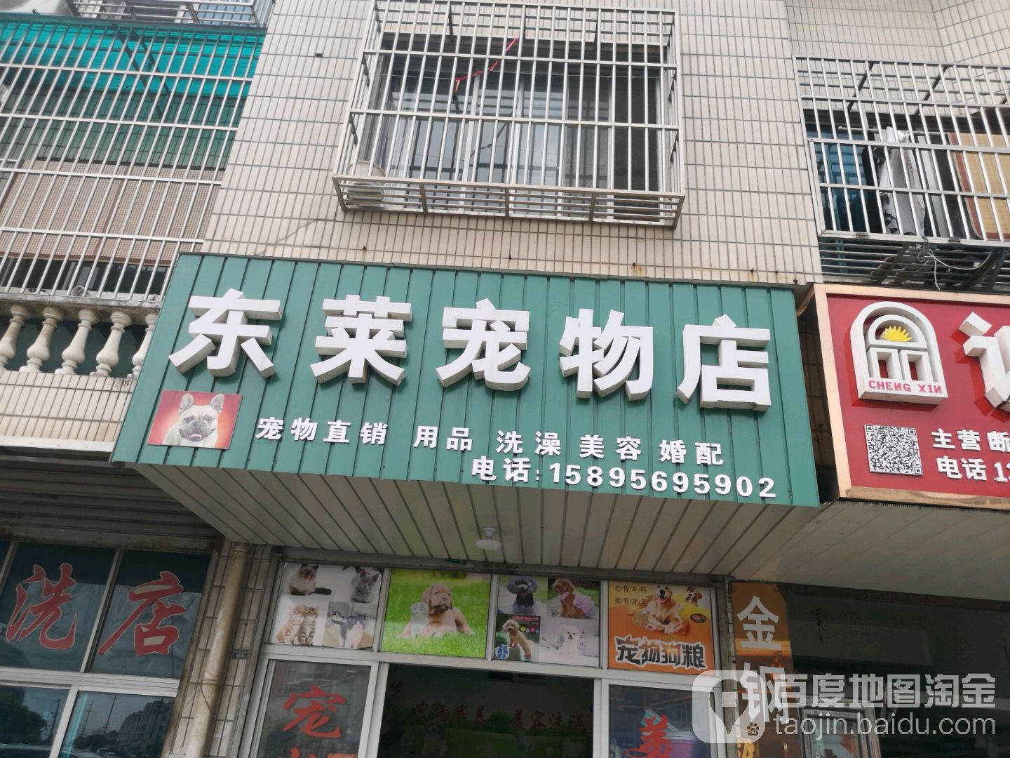 东莱宠物店