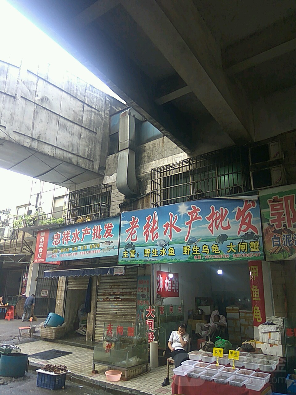 老张水产批发