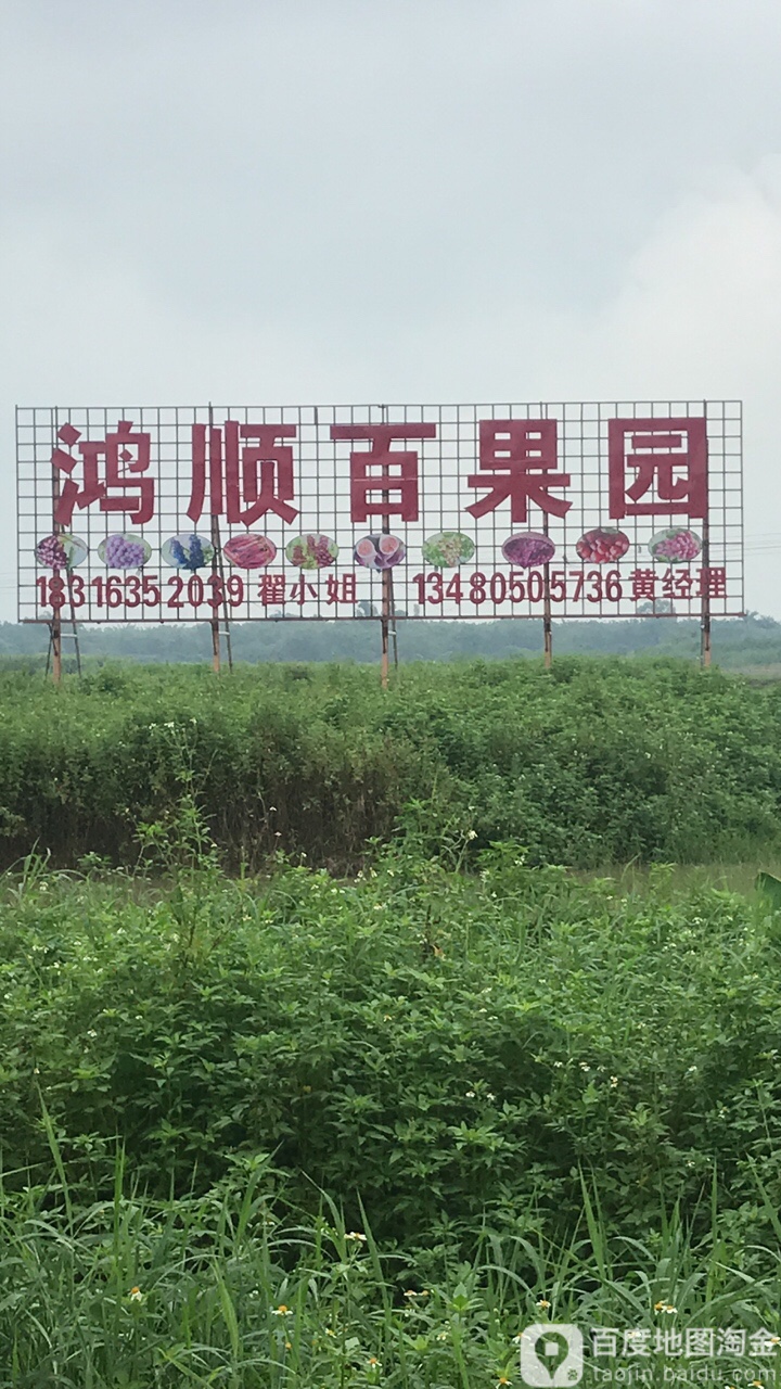 鸿顺百果园
