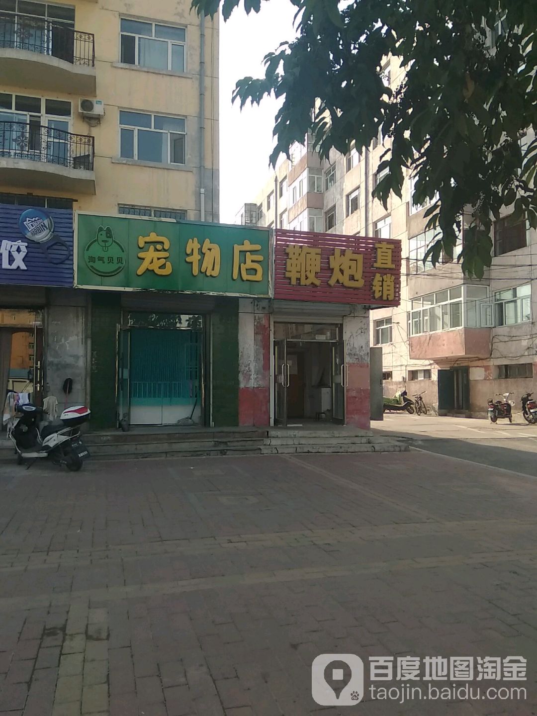 淘气贝贝宠物店