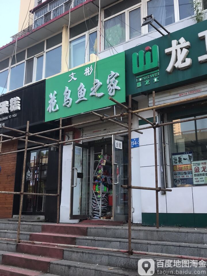 文彬花鸟鱼之家