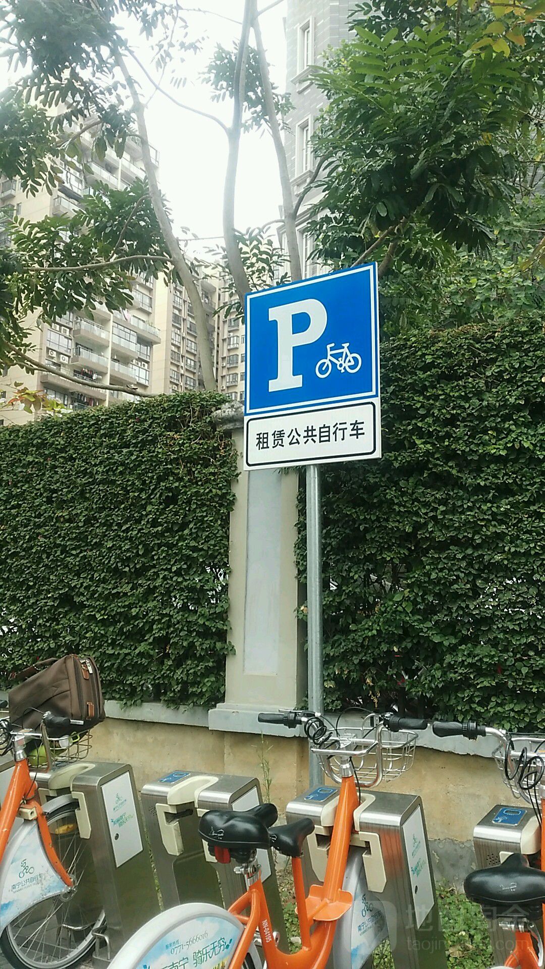 租賃公共自行車P