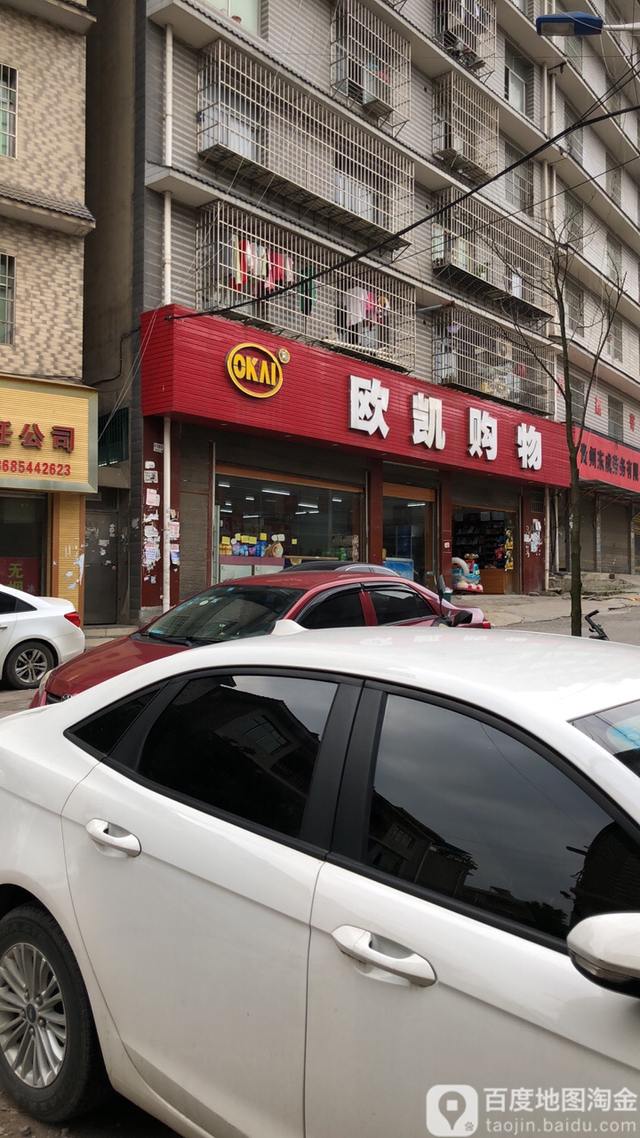 欧凯购物(朝阳路店)