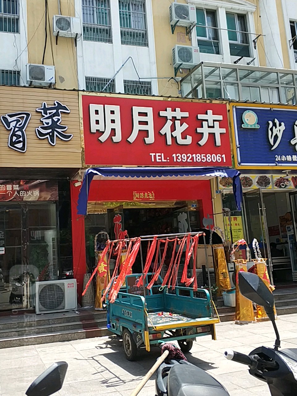 跳舞兰鲜花明月花卉(人民北路店)