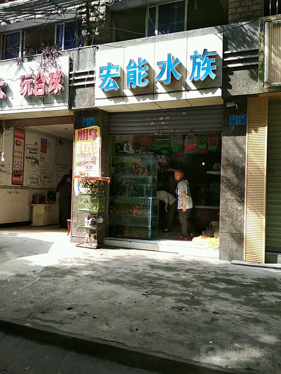 宏能水族