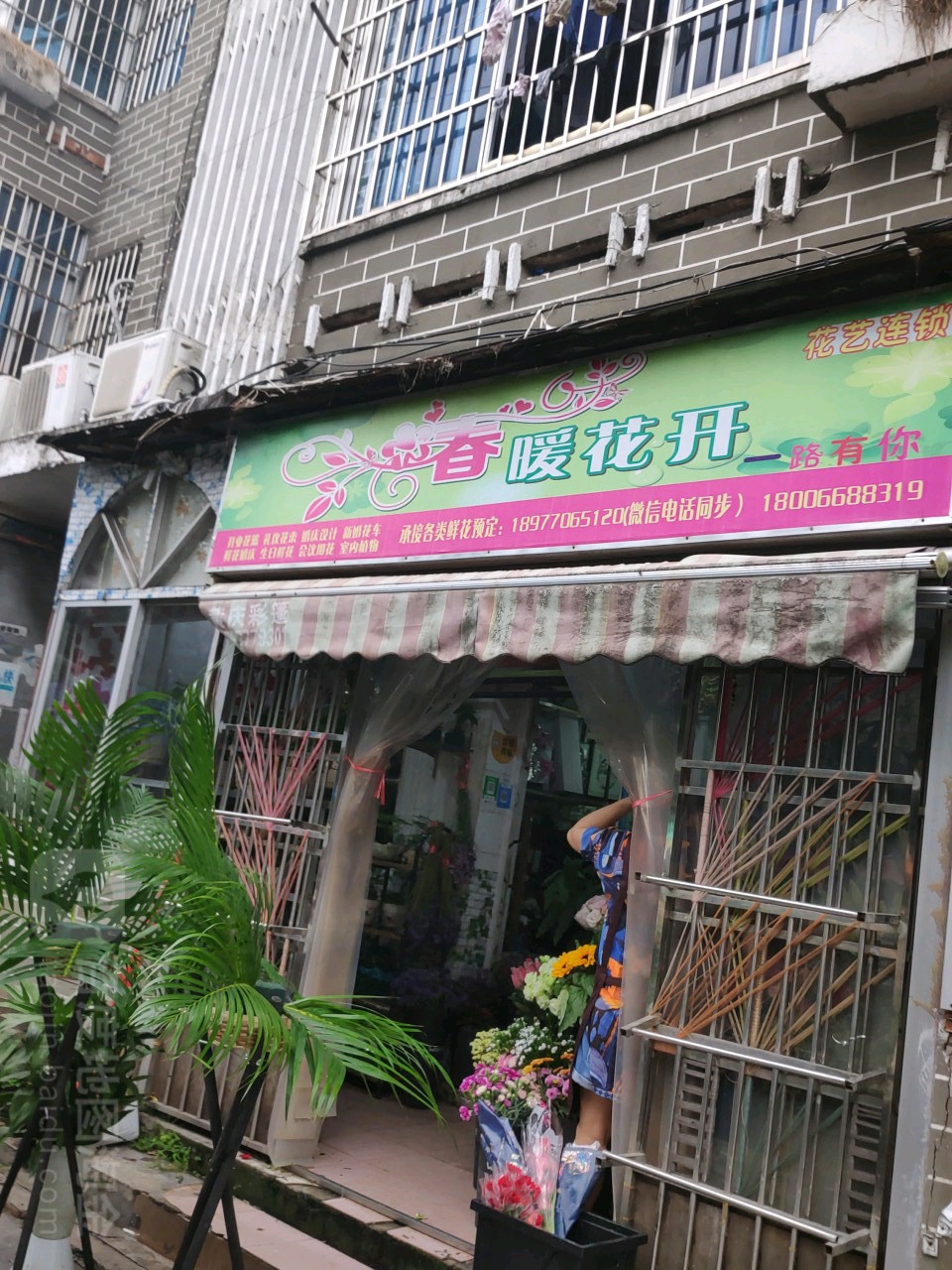 春暖花开开业花篮生日花束(花艺店)