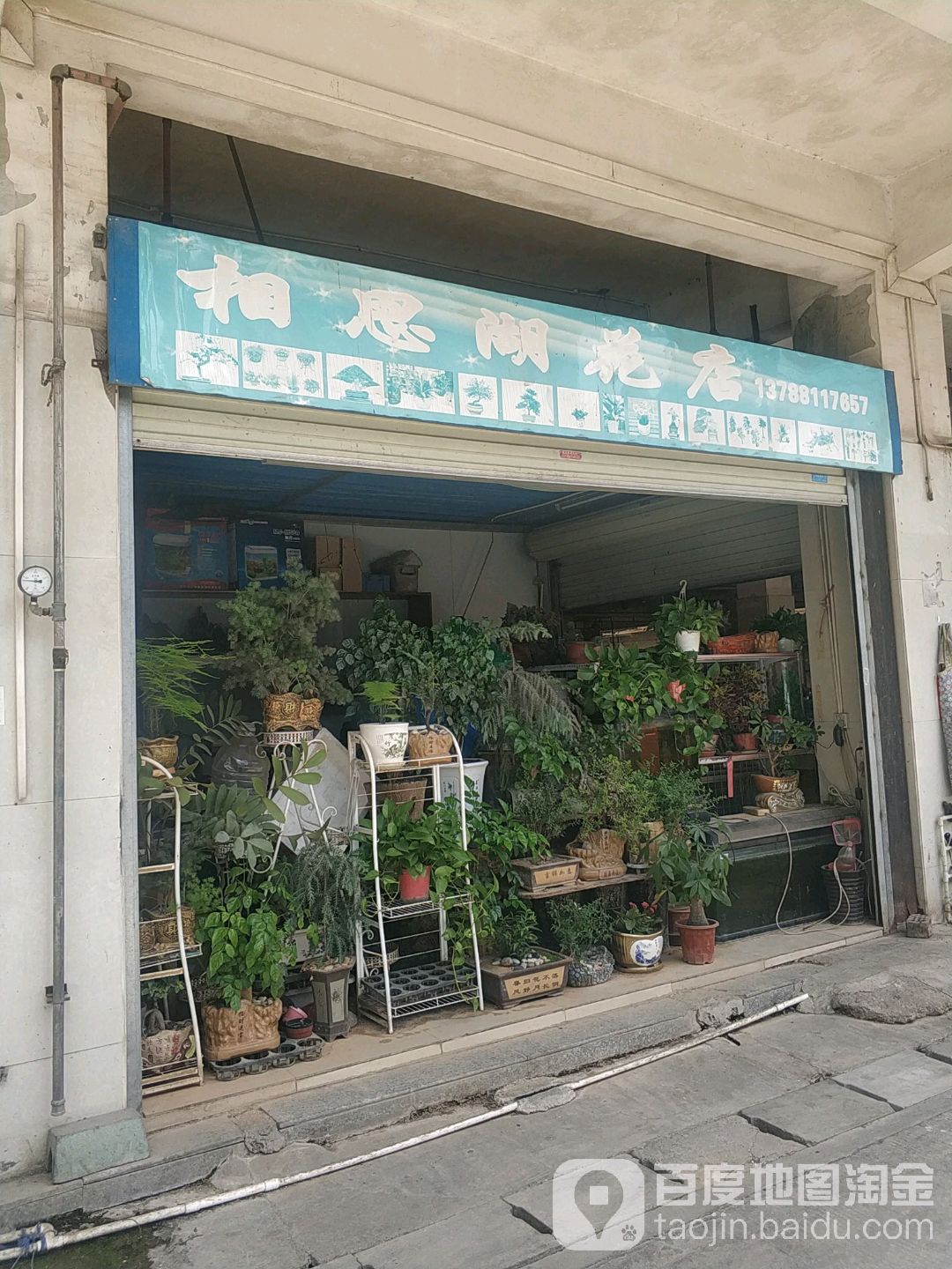 相思湖花店
