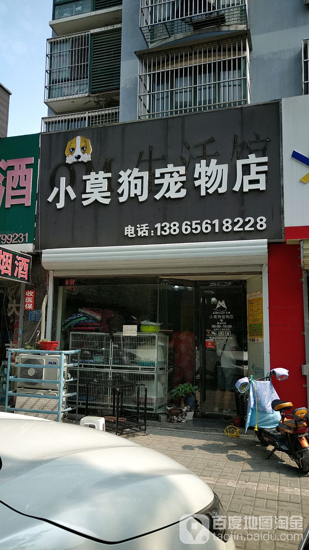 小莫狗宠物店