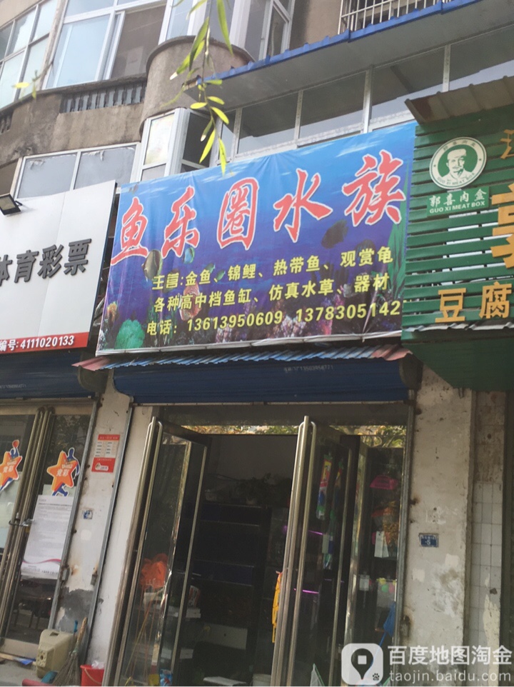 鱼乐圈水族(文化路店)