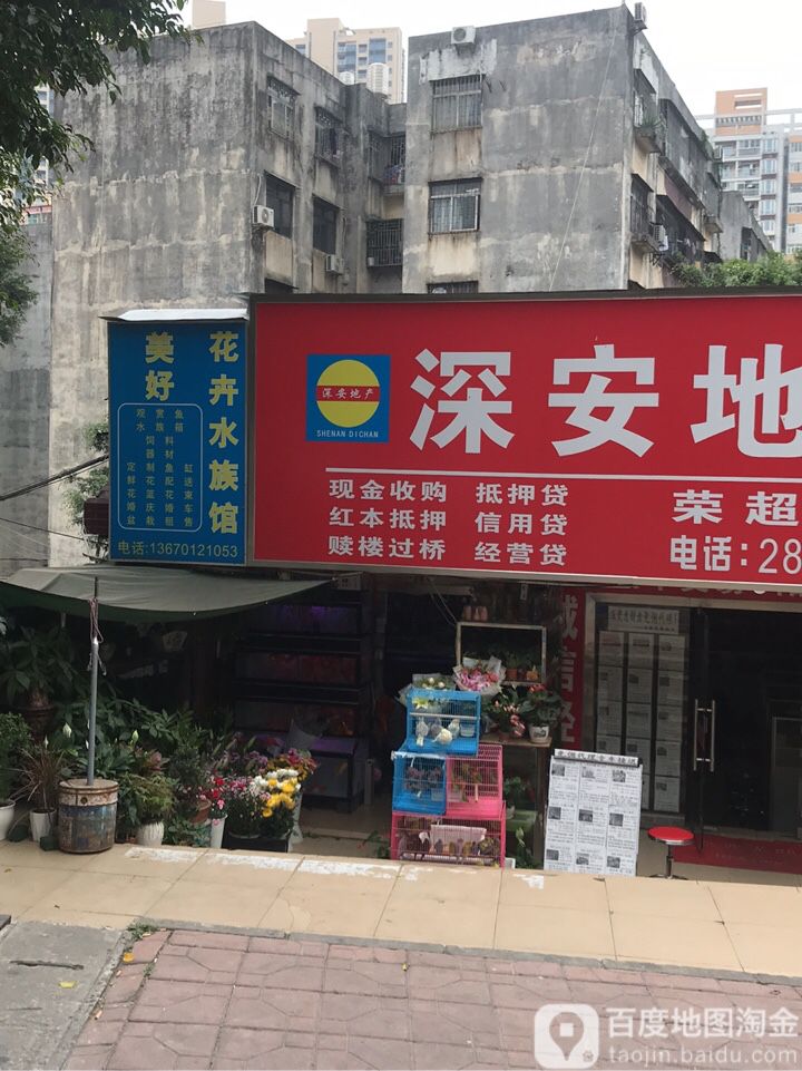 美好花卉水族馆(深圳布吉分店)