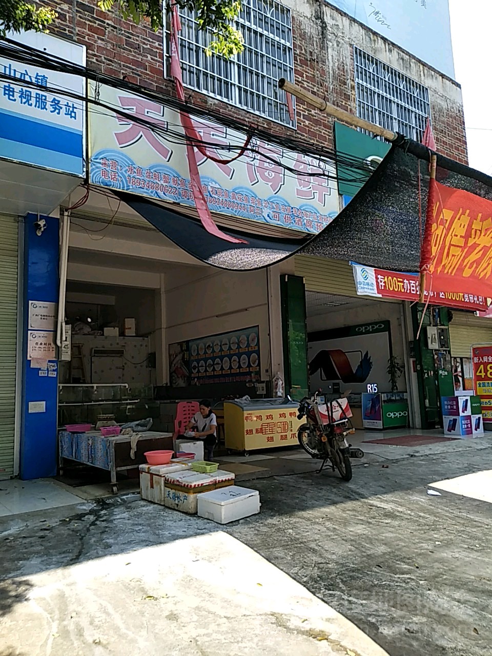 天天海鲜(蓉兴路店)
