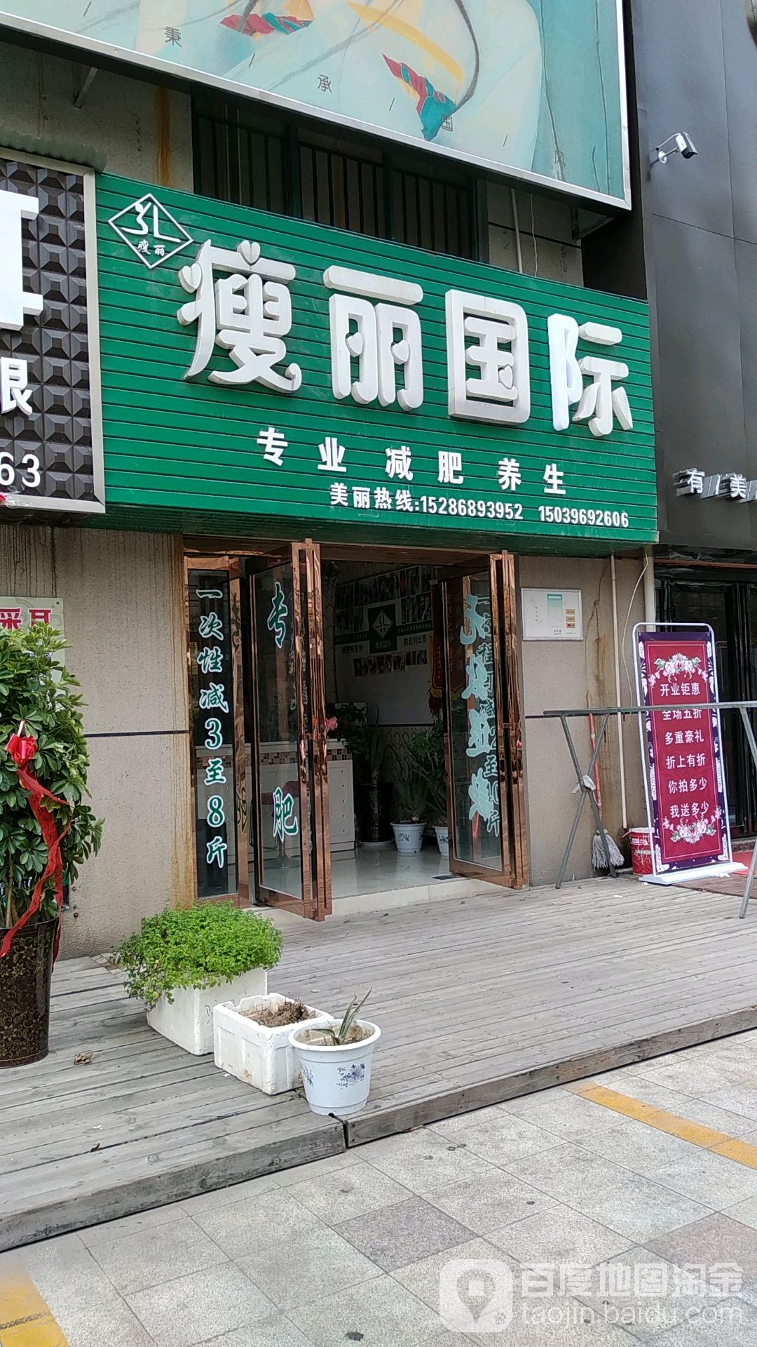 鲁丽国际
